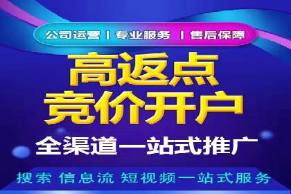 竞价广告的投放策略：XX企业成功案例解析